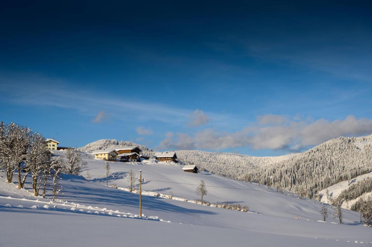 Hôtel Parchenbauernhof Horner à Flachau Extérieur photo